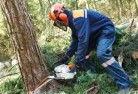 South Durrastree-cutting-services-21.jpg; ?>